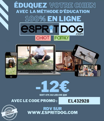 Le clos des Duchesses est partenaire d'Esprit Dog